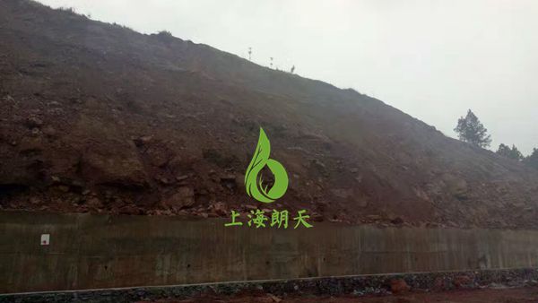 香港宝典2025年全年资料