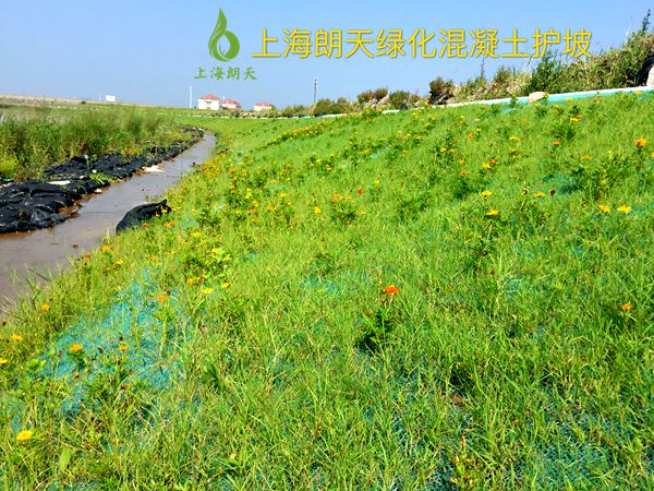 香港宝典2025年全年资料