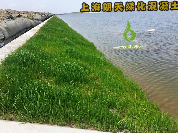 香港宝典2025年全年资料