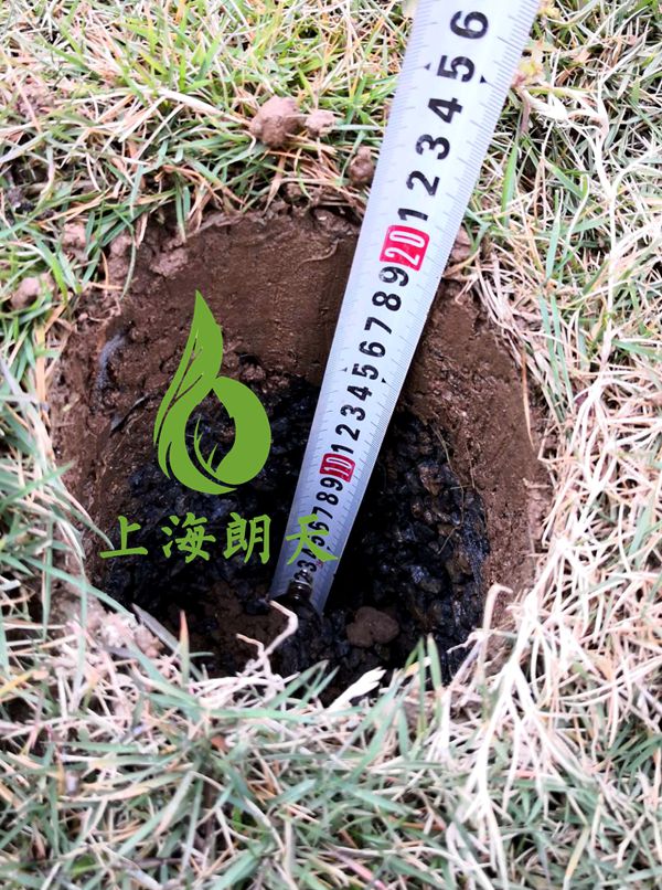 香港宝典2025年全年资料