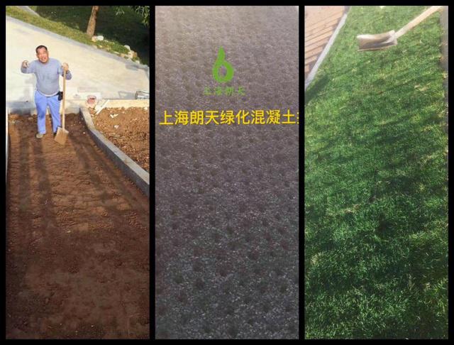 香港宝典2025年全年资料