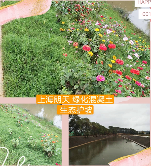 香港宝典2025年全年资料