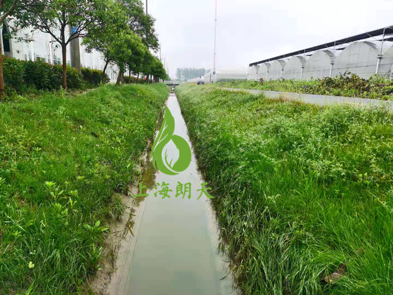 香港宝典2025年全年资料