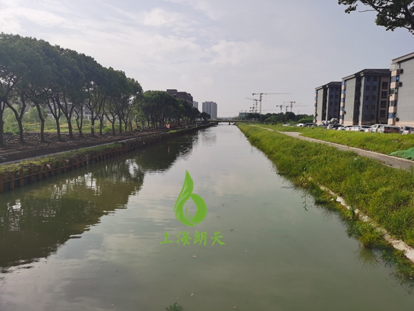 香港宝典2025年全年资料